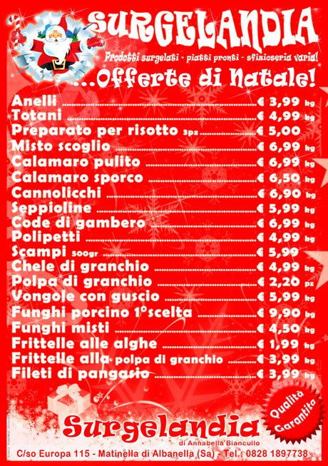 surgelandia_volantino_natale_2011