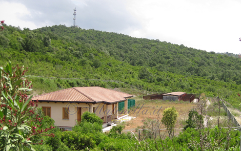 Canile di Bosco