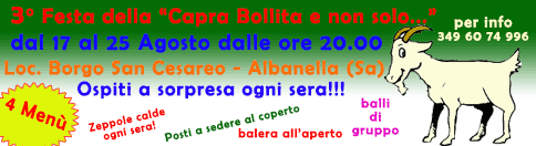 banner-capra-2013
