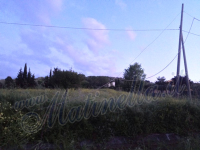 via-la-pila-1