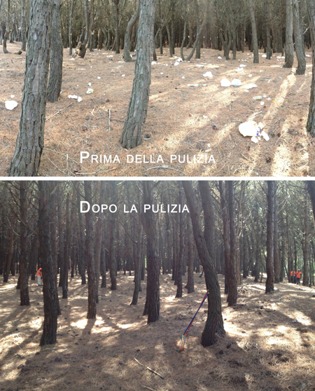 pineta-5