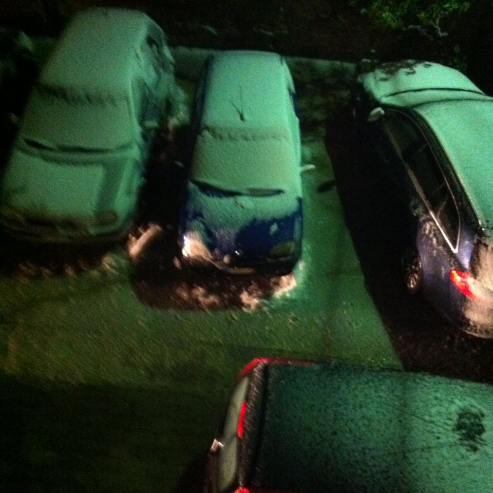 neve