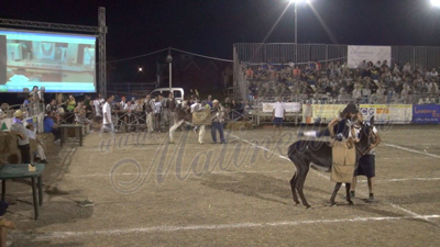 palio-2014-2
