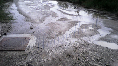 perdite-acqua-bosco2