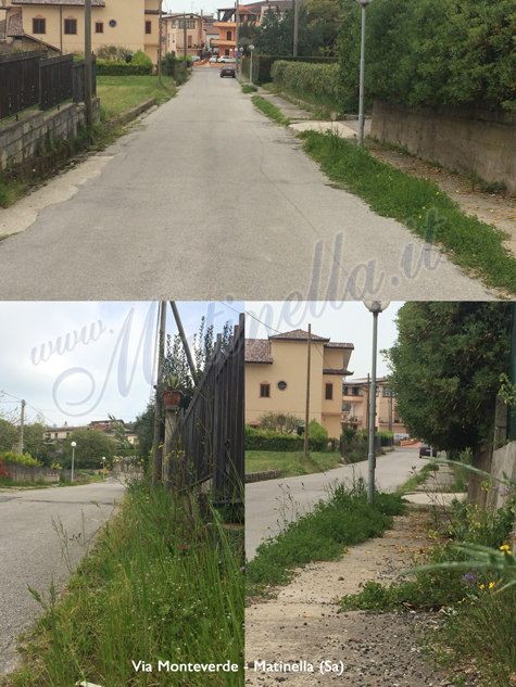 via-monteverde-Matinella