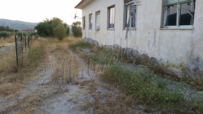 foto-asilo-bosco-2