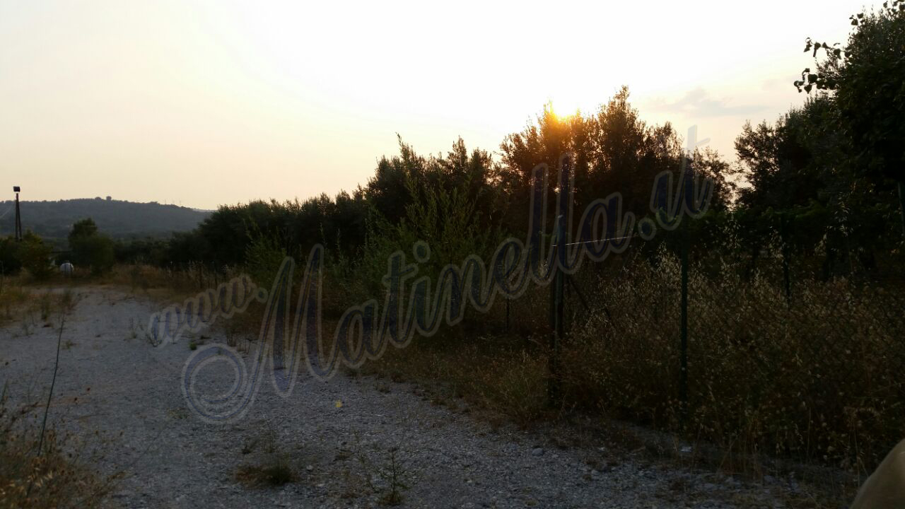 foto-asilo-bosco-4
