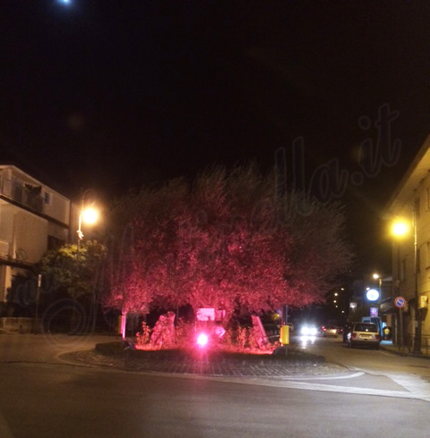 matinella.it-rotatoria-rosa-prevenzione-tumori-2