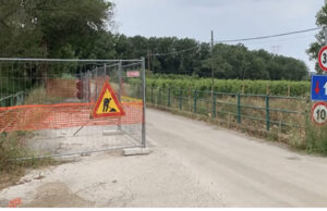 Albanella. Minoranza interroga la maggioranza sulla manutenzione del Malnome a Bosco