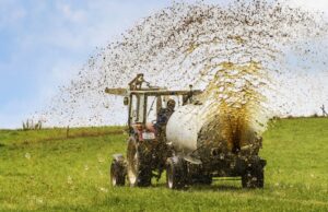 Albanella. Maxi multa ad imprenditore agricolo per lo spandimento illecito di reflui zootecnici…