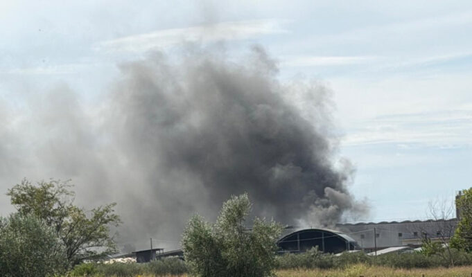Principio d’incendio all’Agricola Imballaggi: il sistema antincendio blocca le fiamme…